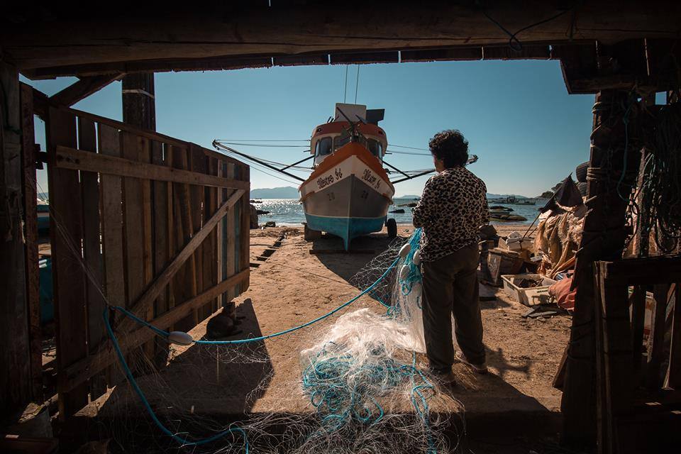 Reportagem sobre mulheres catarinenses na atividade pesqueira. MARUIM