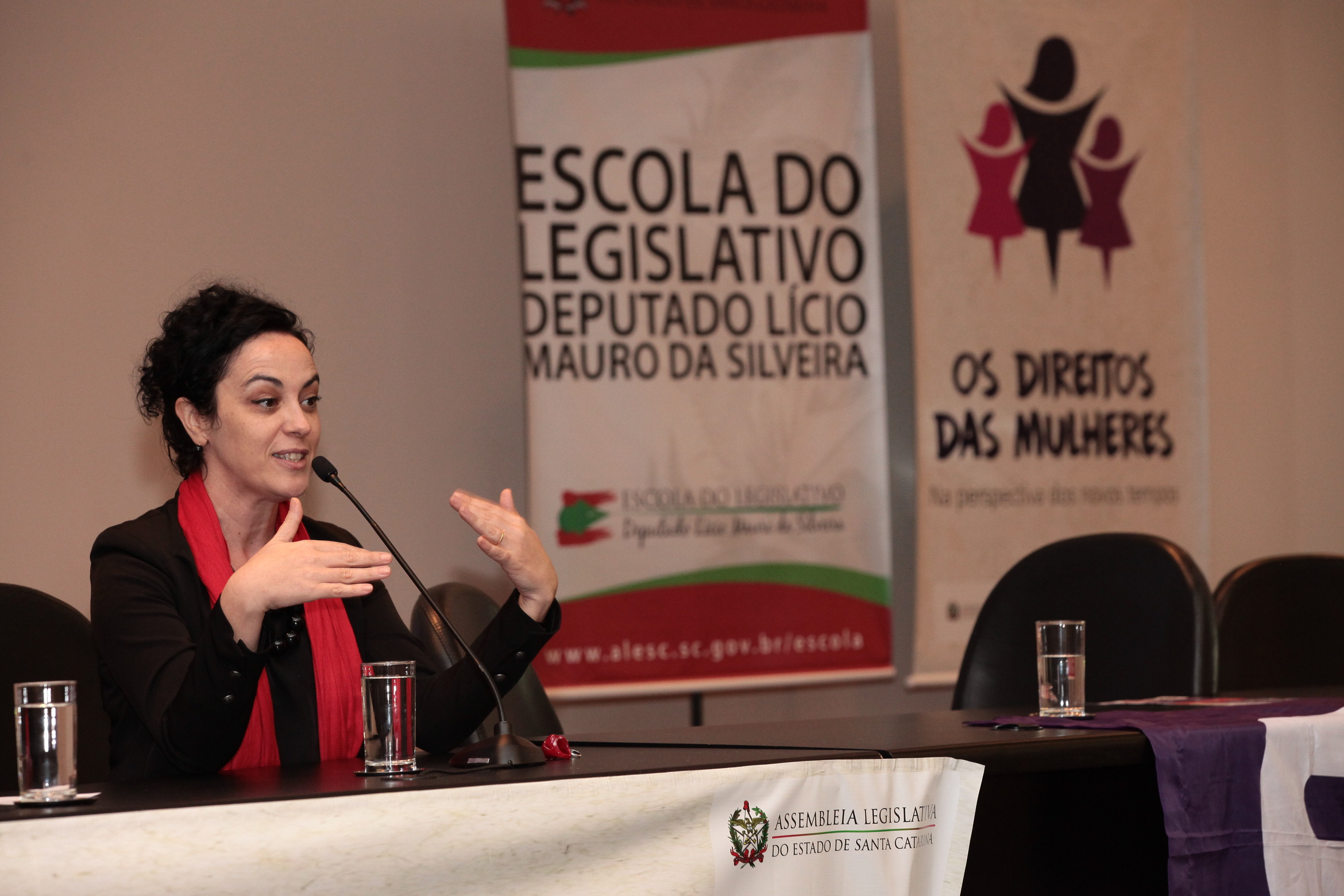 Márcia participou do seminário "Os Direitos das Mulheres”, nesta terça-feira (7)/Foto: Fábio Queiroz