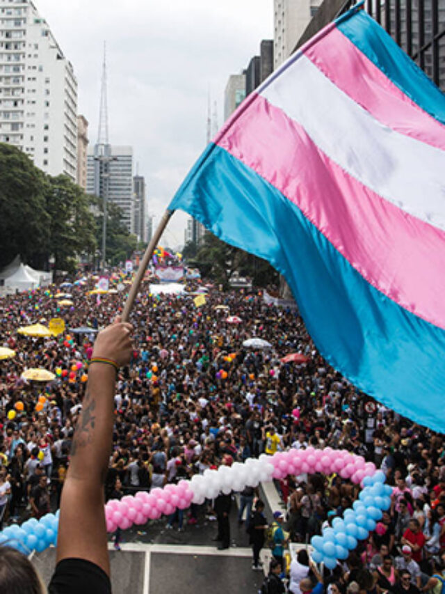 Resistência Trans e Travesti: instituições que fazem parte da história