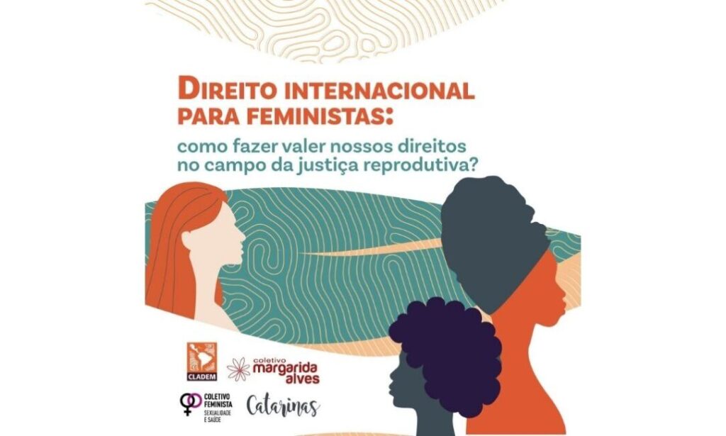 _Cartilha_explica_como_fazer_valer_a__justiça_reprodutiva_no_campo_do_Direito_Internacional