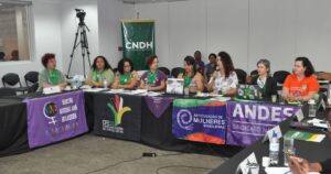Conselho_Nacional_de_Direitos_Humanos_discute_perseguição_a_ativistas_do_direito_ao_aborto