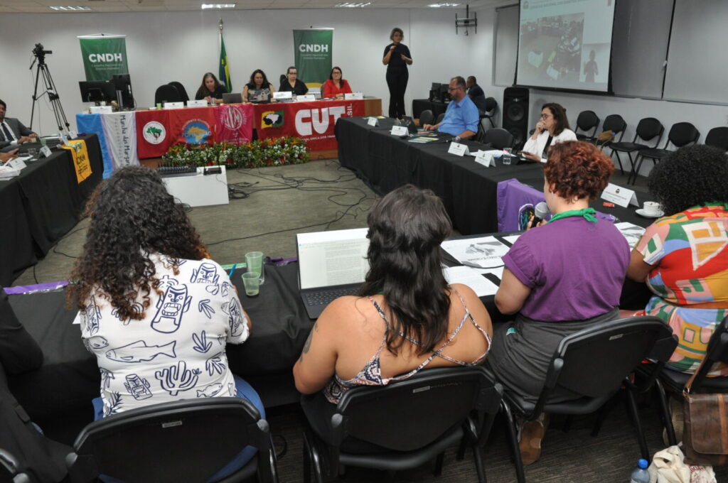 Conselho_Nacional_de_Direitos_Humanos_discute_perseguição_a_ativistas_do_direito_ao_aborto_Brasilia